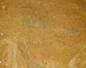 Desert-Gold-1