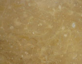 King-Gold-4